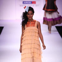 Lakme Fashion Week 2011 Day 3 Pictures | Picture 62292